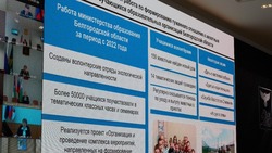 Вячеслав Гладков ознакомился с докладом об эффективности работы муниципальных приютов для животных