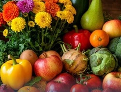Губкинцы смогут посетить ярмарочные мероприятия 6 и 7 июня