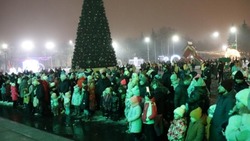Проект «Новогодние праздники: традиции и современность» завершился в Губкинском горокруге