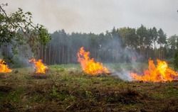 Противопожарный режим продолжил действовать на территории Белгородской области 