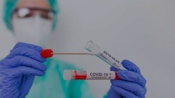 Медики выявили 103 новых случая COVID-19 в Белгородской области за сутки