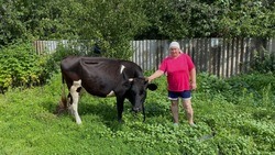 Белгородцы оформили 625 соцконтрактов на ведение личного подсобного хозяйства с начала 2022 года