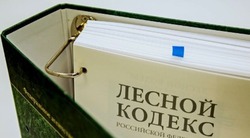 Помощник губкинского прокурора рассказала об изменениях в Лесном кодексе РФ