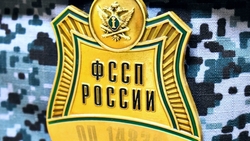 Белгородские судебные приставы взыскали штраф за незаконное использование товарного знака