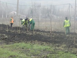 Масштабная кампания по благоустройству и озеленению продолжилась в Губкине 