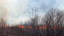 Более 1,9 тысяч пожаров произошли в Белгородской области за восемь месяцев этого года