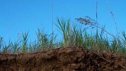 Губкинские власти напомнили об ответственности за снятие плодородного слоя почвы