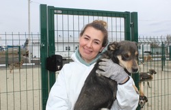 Приют для безнадзорных животных продолжил работать в Губкинском горокруге 