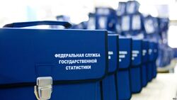 Интернет-перепись населения пройдёт в Белгородской области в начале октября