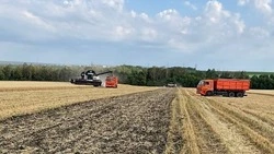 Итоги работы агропромышленного комплекса за первое полугодие 2025 года