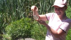 Ученические волонтёрские отряды изучили качество воды и состав почв в Губкинском округе