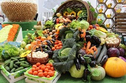 Сельскохозяйственная ярмарка пройдёт в Губкине 