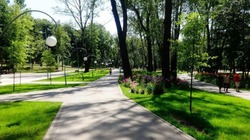 Онлайн-голосование по выбору проекта благоустройства «Петровского парка» завершится в Губкине 31 мая