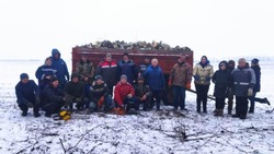 Жители села Никаноровка губкинской территории организовали заготовку дров для военнослужащих 