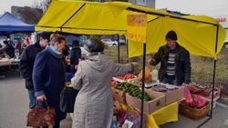 Вячеслав Гладков сообщил о контроле властями роста цен на продукты питания