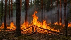 Противопожарный режим продолжил действовать на территории Белгородской области
