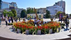 Фестиваль «Белгород в цвету» стартовал в столице региона