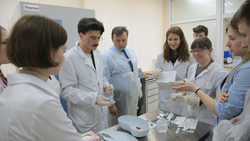 Молодые учёные БелГУ удостоены золотых медалей конкурса «РосБиоТех»