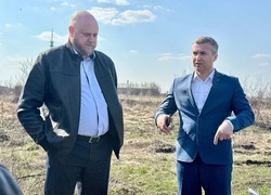 Михаил Лобазнов: «Приют для бездомных животных в Губкине начнут строить уже в мае»