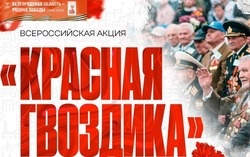 Губкинцы смогут принять участие во Всероссийской акции «Красная гвоздика»