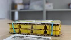 Почта России в Белгородской области открыла сезон доставки пчёл