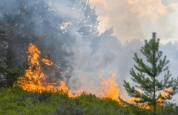 Противопожарный режим продолжил действовать на территории Белгородской области