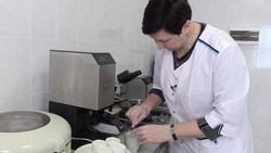 Учёные НИУ «БелГУ» разработали линейку кисломолочных продуктов с экстрактом босвеллии