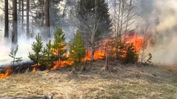 Особый противопожарный режим начал действовать на территории Губкинского горокруга