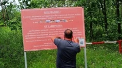 Ограничения пребывания граждан в лесах вводятся в Белгородской области