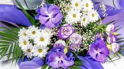 Михаил Лобазнов и Галина Колесникова поздравили культработников с профессиональным праздником 