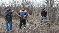 Жители Боброводворской территории Губкинского горокруга приступили к весенней уборке 