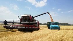 Аграрии соберут не менее 3, 2 млн тонн зерна с полей Белгородской области в этом году
